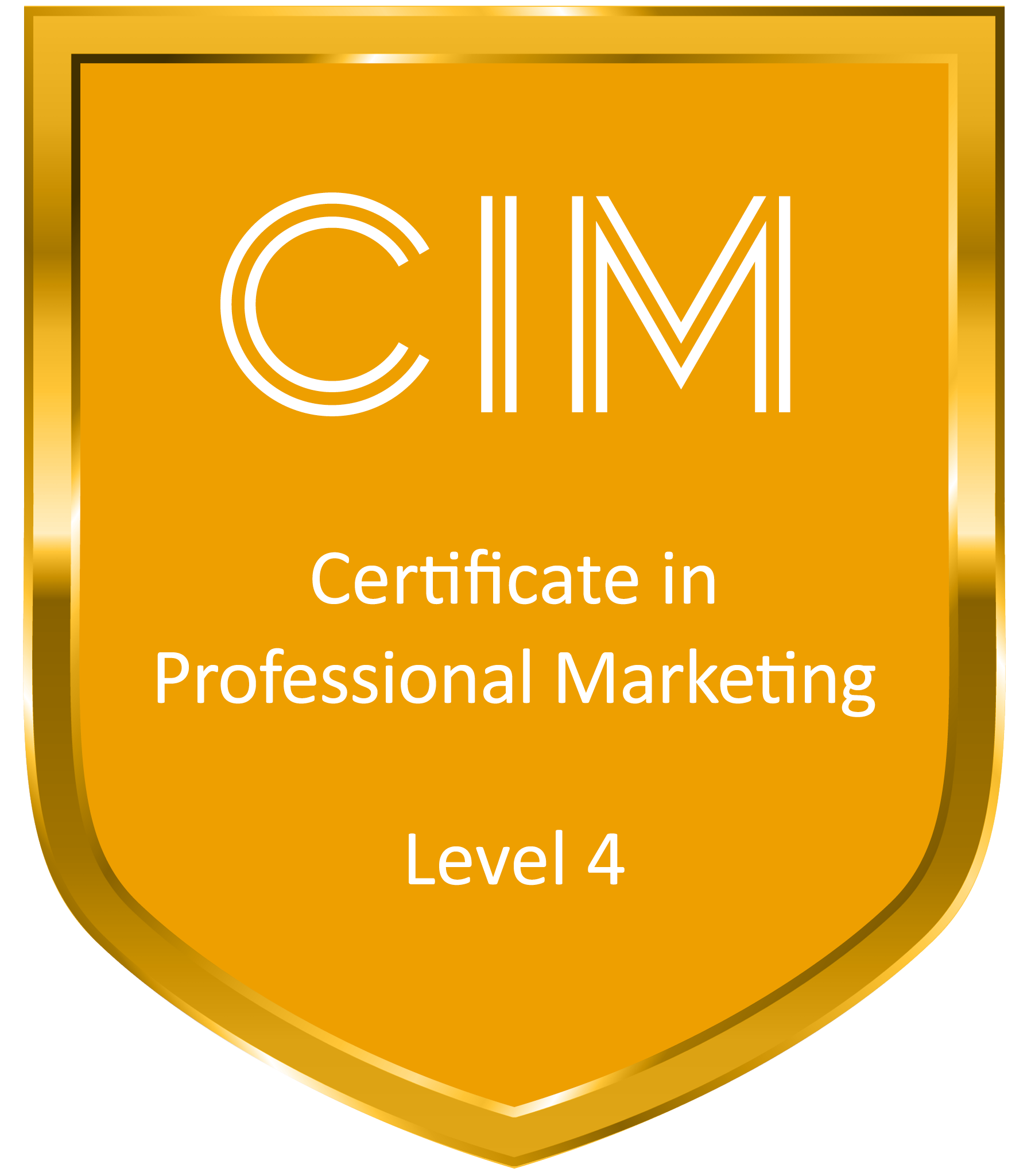 CIM Level 4 Certificate in Professional and Digital Marketing