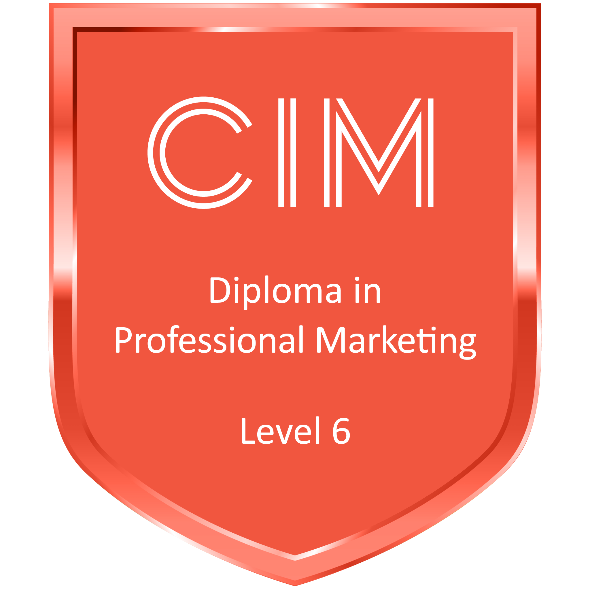 CIM Diploma in Professional Marketing Level 6 logo